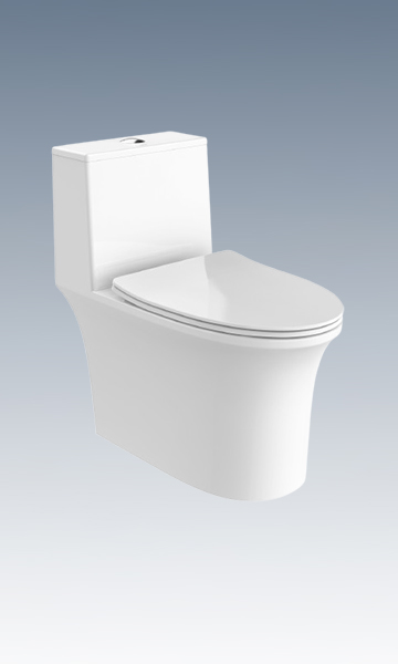 LC0902DT D2超旋風360°坐便器