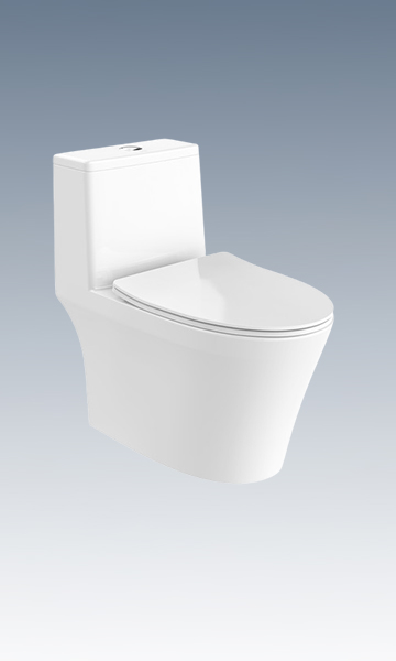 LC0903DT D3超旋風360°坐便器