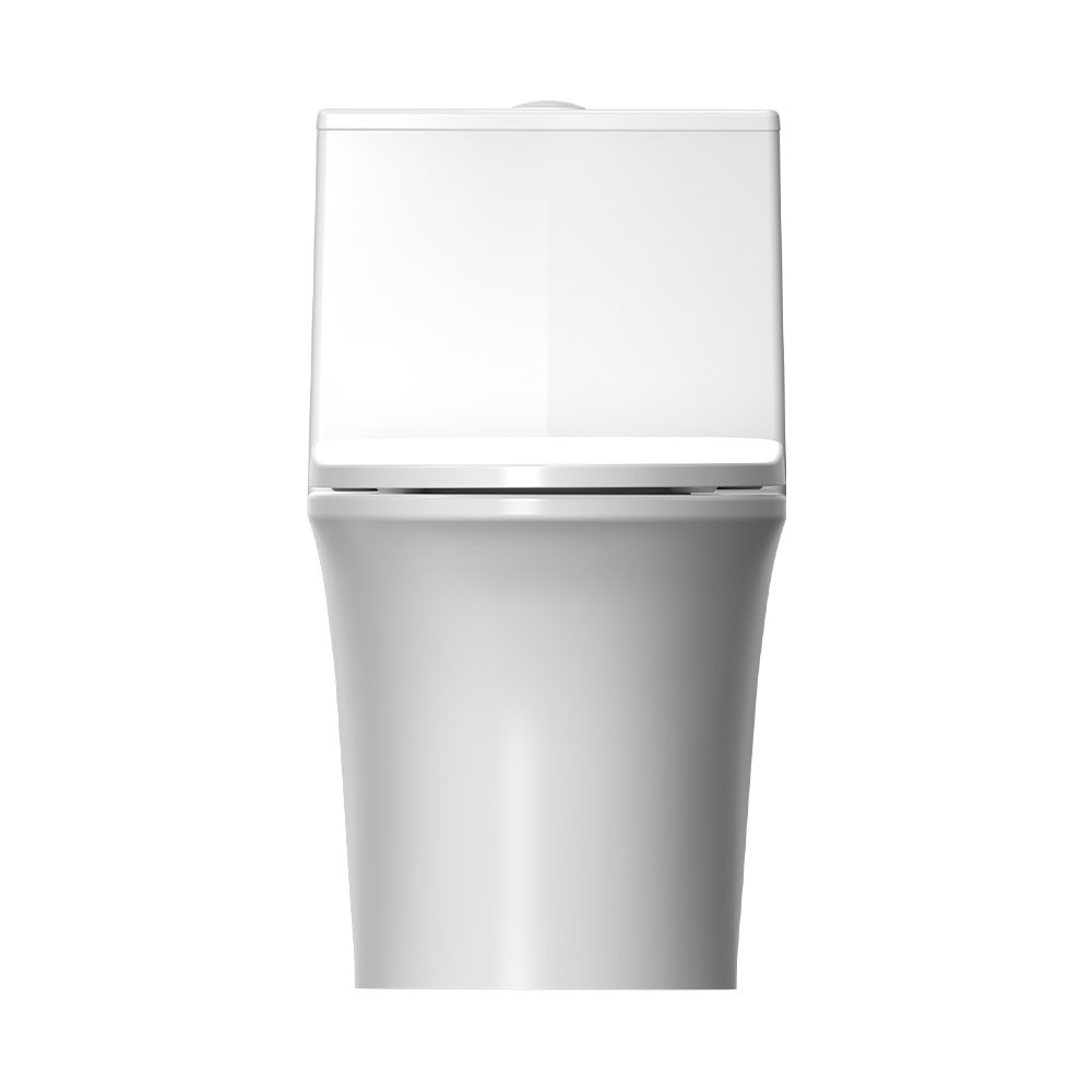 LC0205DT超旋風節(jié)水坐便器