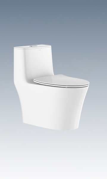 LC0905DT D5超旋風節水坐便器