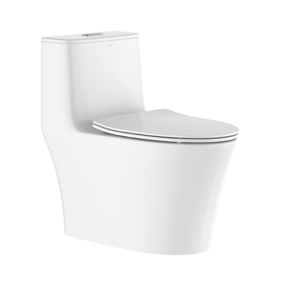 LC0905DT D5超旋風(fēng)節(jié)水坐便器