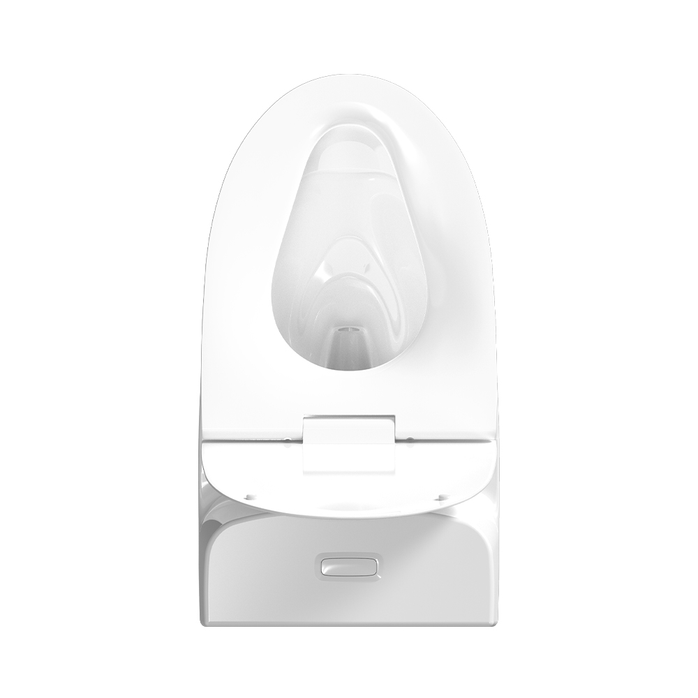 LC0905DT D5超旋風(fēng)節(jié)水坐便器