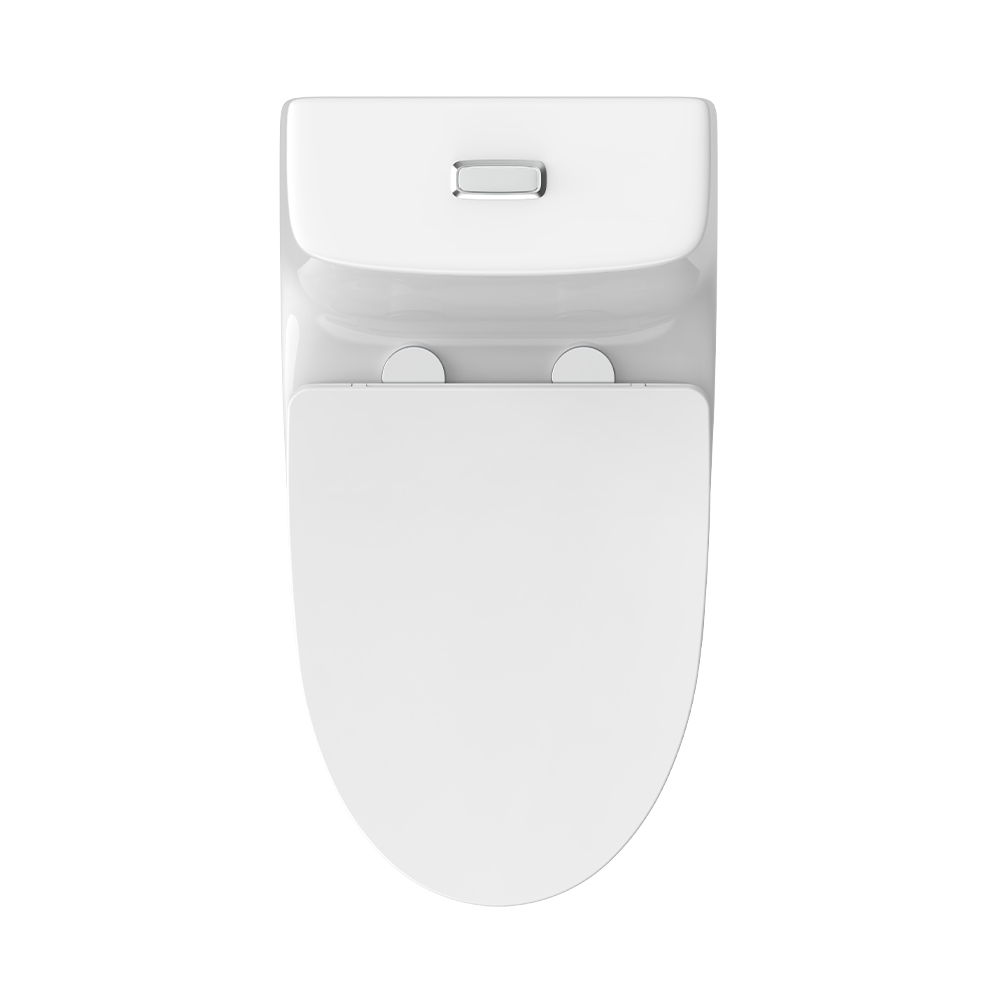 LC0905DT D5超旋風(fēng)節(jié)水坐便器